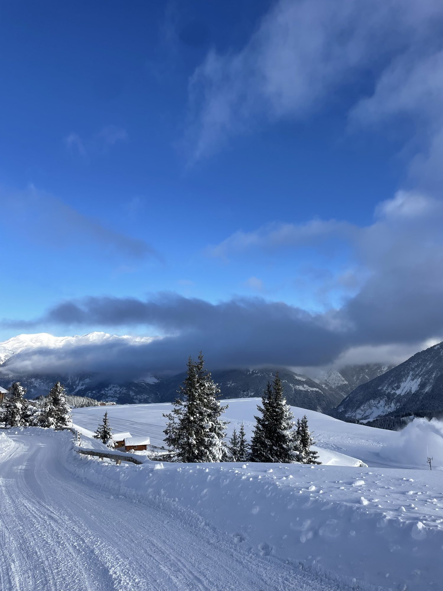 A snowy path between fir trees above a sea of clouds in Courchevel